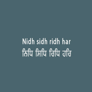ਨਿਧਿ ਸਿਧਿ ਰਿਧਿ (Sri Guru Granth Sahib Page 101)