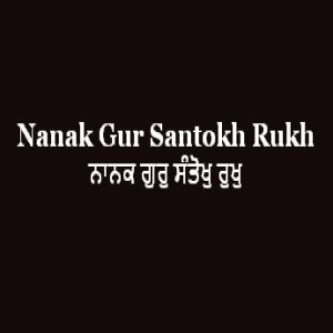 ਨਾਨਕ ਗੁਰੁ ਸੰਤੋਖੁ ਰੁਖੁ (Sri Guru Granth Sahib Page 147)