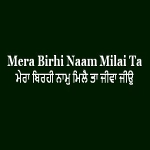 ਮੇਰਾ ਬਿਰਹੀ ਨਾਮੁ ਮਿਲੈ ਤਾ ਜੀਵਾ ਜੀਉ (Sri Guru Granth Sahib Page 175)