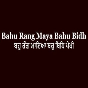 Bahu Rang Maya Bahu Bidh Pekhi (Sri Guru Granth Sahib Page 179)