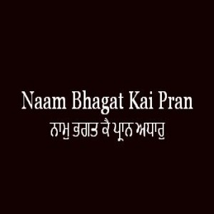 Naam Bhagat Kai Pran Adhar (Sri Guru Granth Sahib Page 189)