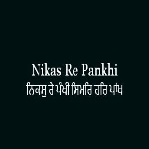 Nikas Re Pankhi Simar Har Pankh (Sri Guru Granth Sahib Page 204)