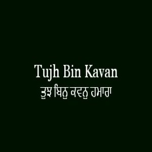 ਤੁਝ ਬਿਨੁ ਕਵਨੁ ਹਮਾਰਾ (Sri Guru Granth Sahib Page 206)