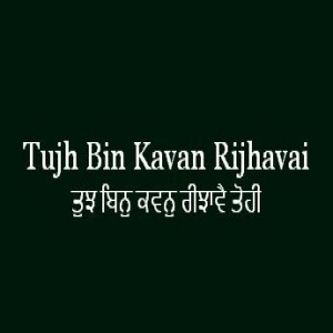 ਤੁਝ ਬਿਨੁ ਕਵਨੁ ਰੀਝਾਵੈ ਤੋਹੀ (Sri Guru Granth Sahib Page 207)