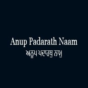 Anup Padarath Naam (Sri Guru Granth Sahib Page 208)