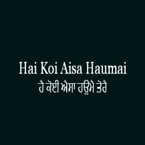 ਹੈ ਕੋਈ ਐਸਾ ਹਉਮੈ ਤੋਰੈ (Sri Guru Granth Sahib Page 212)