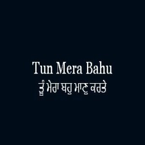 Tun Mera Bahu Maan Karte (Sri Guru Granth Sahib Page 217)