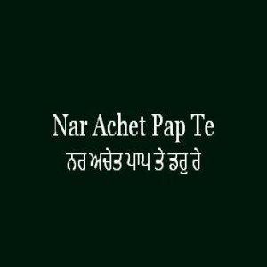 Nar Achet Pap Te Dar Re (Sri Guru Granth Sahib Page 220)