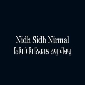 ਨਿਧਿ ਸਿਧਿ ਨਿਰਮਲ ਨਾਮੁ ਬੀਚਾਰੁ (Sri Guru Granth Sahib Page 220)