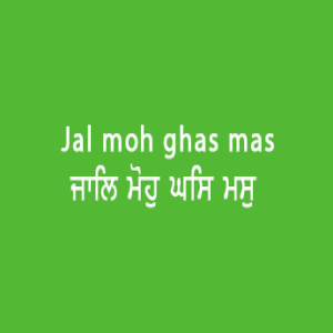 ਜਾਲਿ ਮੋਹੁ ਘਸਿ ਮਸੁ ਕਰਿ (Sri Guru Granth Sahib Page 16)