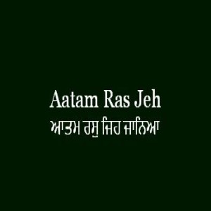 ਆਤਮ ਰਸੁ ਜਿਹ ਜਾਨਿਆ (Sri Guru Granth Sahib Page 252)