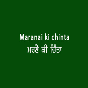 ਮਰਣੈ ਕੀ ਚਿੰਤਾ ਨਹੀ (Sri Guru Granth Sahib Page 20)
