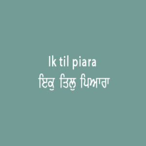 ਇਕੁ ਤਿਲੁ ਪਿਆਰਾ ਵੀਸਰੈ (Sri Guru Granth Sahib Page 21)