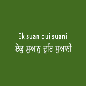 Ek Suaan Dui Suaani (Sri Guru Granth Sahib Page 24)