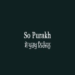 ਸੋ ਪੁਰਖੁ ਨਿਰੰਜਨੁ (Sri Guru Granth Sahib Page 348)