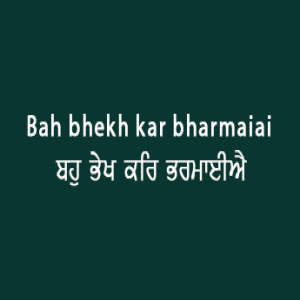 ਬਹੁ ਭੇਖ ਕਰਿ ਭਰਮਾਈਐ (Sri Guru Granth Sahib Page 26)