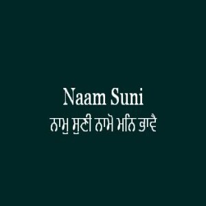 Naam Suni Namo Man Bhavai (Sri Guru Granth Sahib Page 367)
