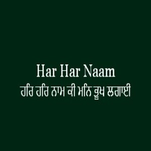 ਹਰਿ ਹਰਿ ਨਾਮ ਕੀ ਮਨਿ ਭੂਖ ਲਗਾਈ (Sri Guru Granth Sahib Page 367)