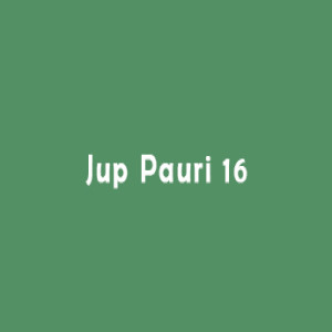 Jup Pauri 16 Punjabi (Sri Guru Granth Sahib Page 3)