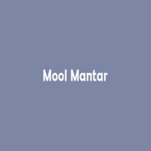 Mool Mantar Punjabi (Sri Guru Granth Sahib Page 1)