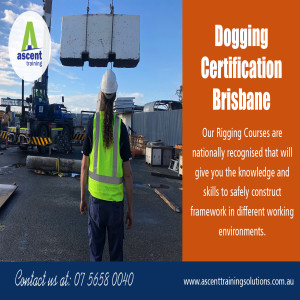 Dogging courses Brisbane