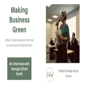 Making Business Green - Interview Of Georgia Elliott Smith