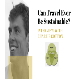 Can Travel Ever Be Sustainable