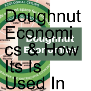 Doughnut Economics & How Its Is Used In Cities & Localities