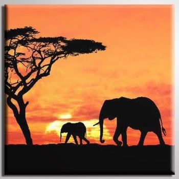 Secrets and Elephants