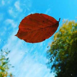 first blog ever
