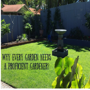 Assessing the Need of a Proficient Gardener