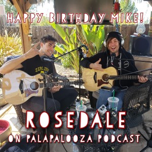 Palapalooza - Rosedale (Happy Birthday Mike!)