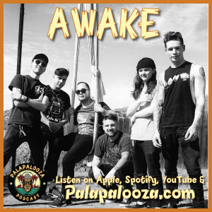 Palapalooza - Awake