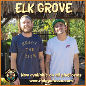 Palapalooza - Elk Grove