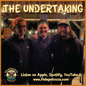 Palapalooza - The Undertaking!