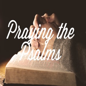 Psalm 13  Prayers of David