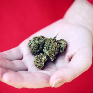 CBD bei PSYCHISCHEN ERKRANKUNGEN