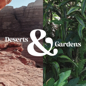 Deserts & Gardens: Shepherd and Sheep