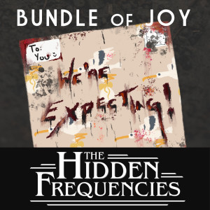 The Hidden Frequencies: Bundle of Joy - Recorded Live