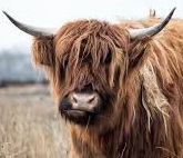 Episode 28: Yakity Yak