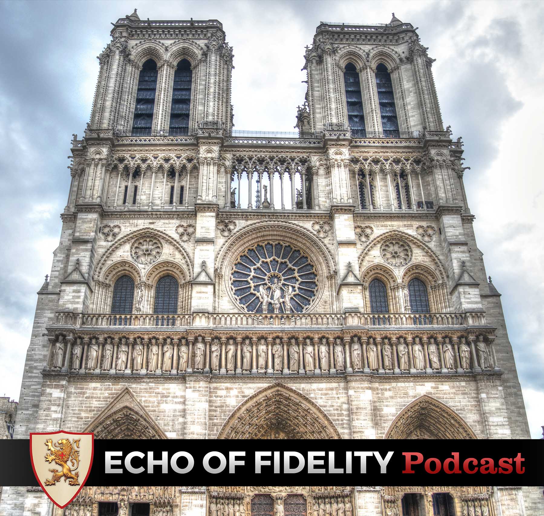 Echo of Fidelity: TFP Student Action Podcast