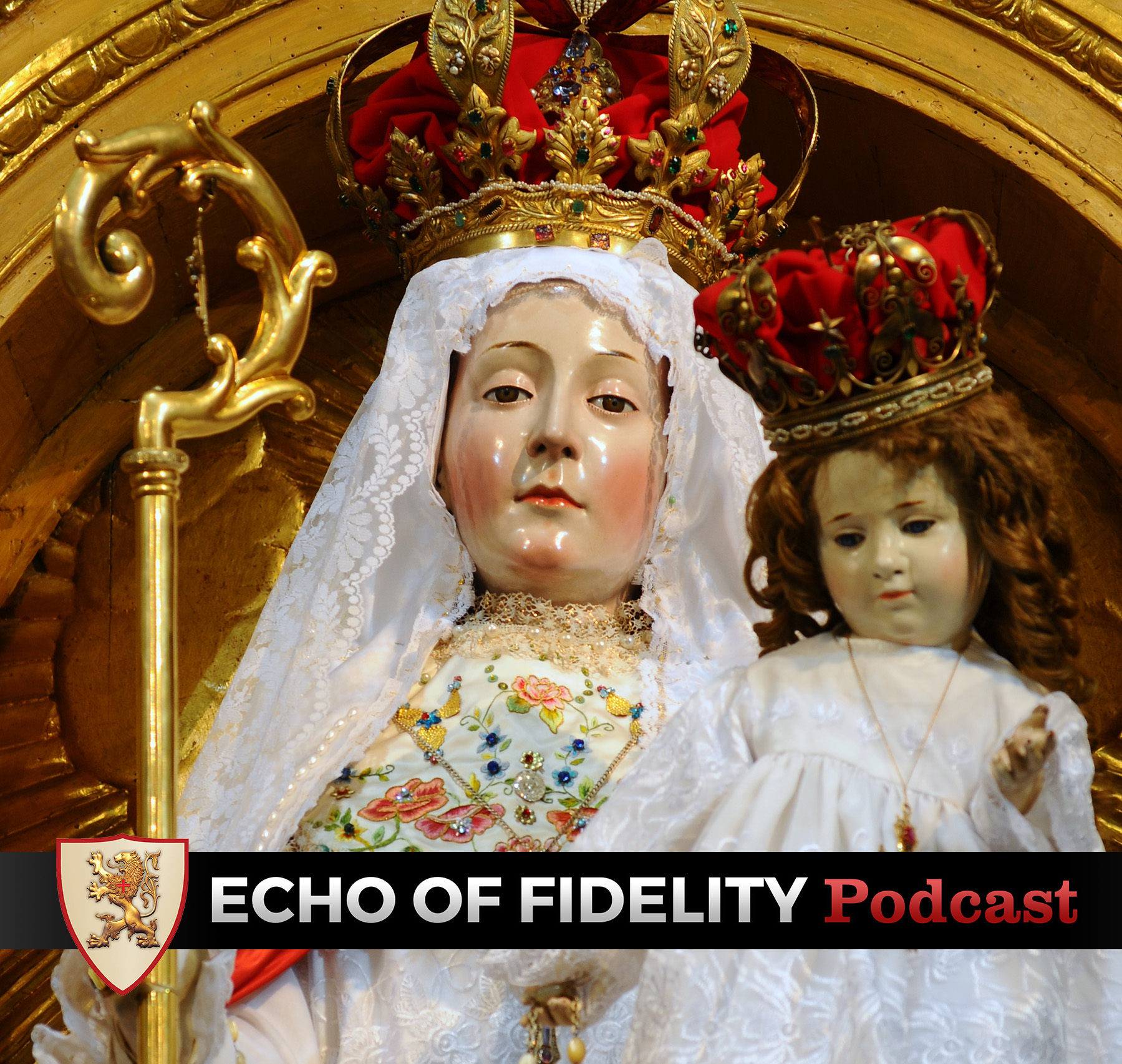 Echo of Fidelity: TFP Student Action Podcast