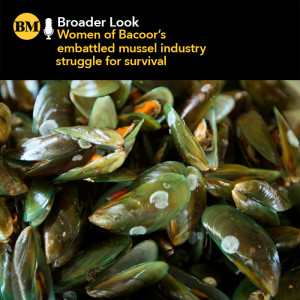 Women of Bacoor’s embattled mussel industry struggle for survival