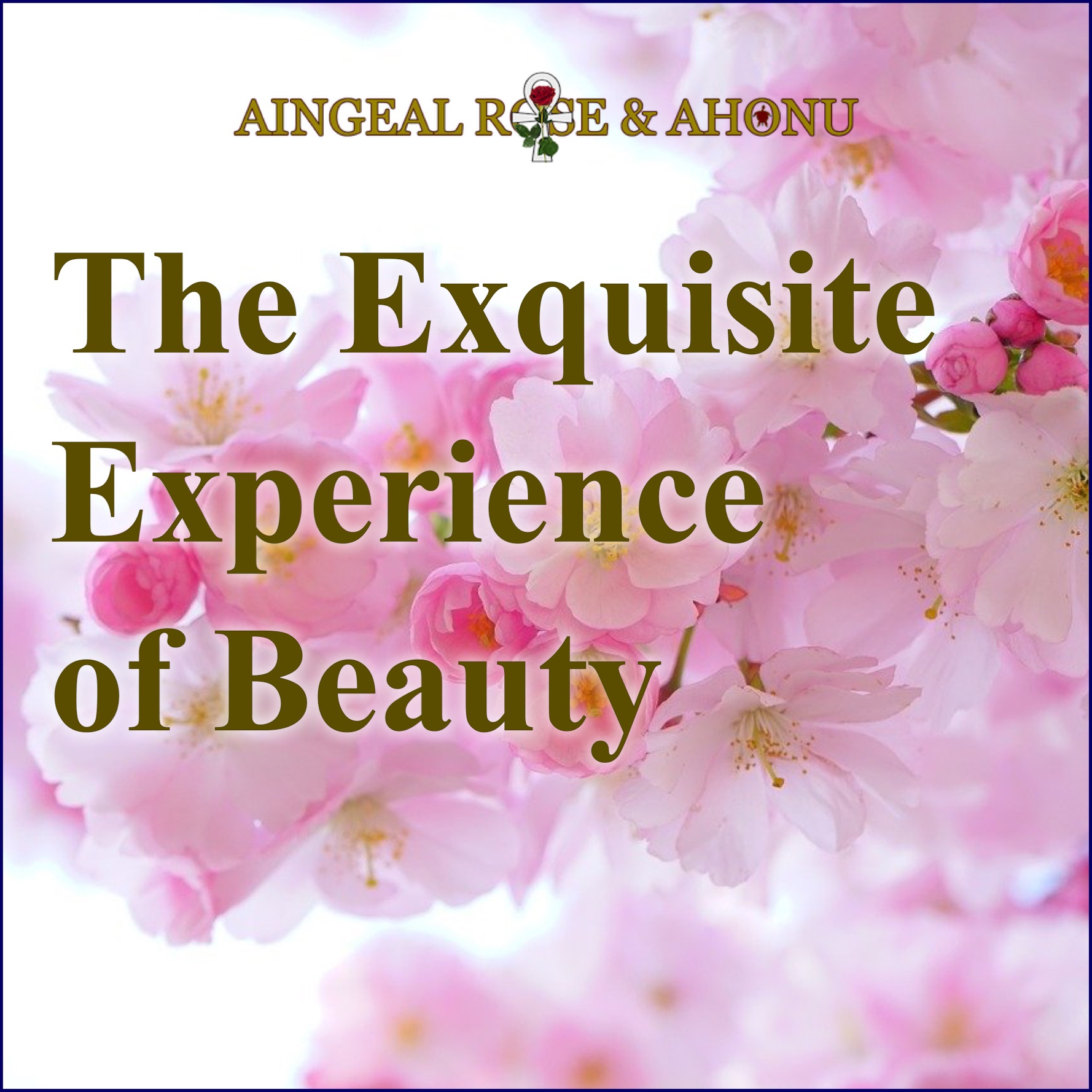 353: The Exquisite Experience of Beauty
