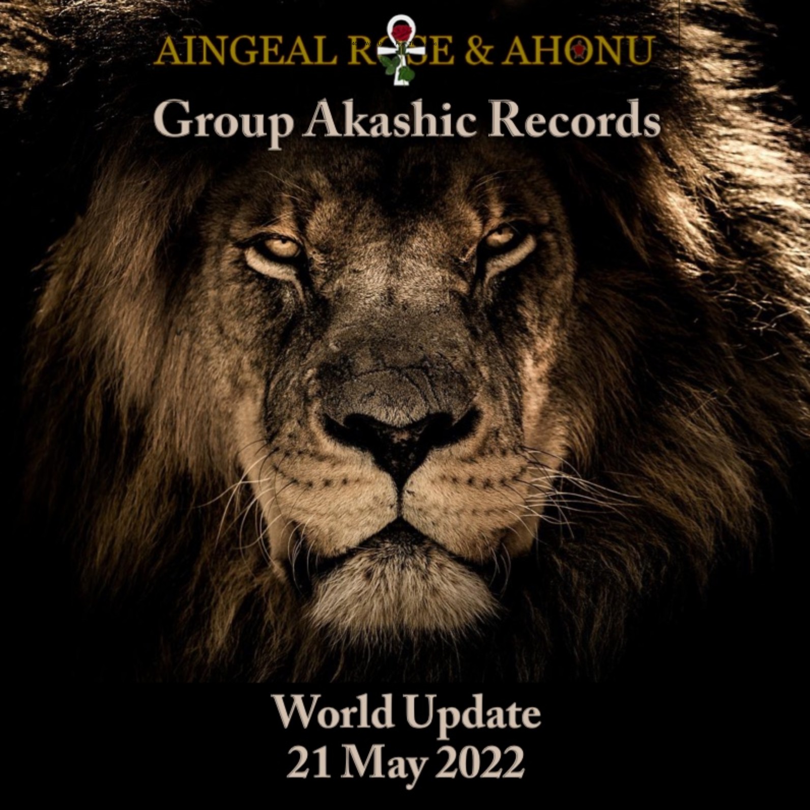 402: World Update From The Akashic Records