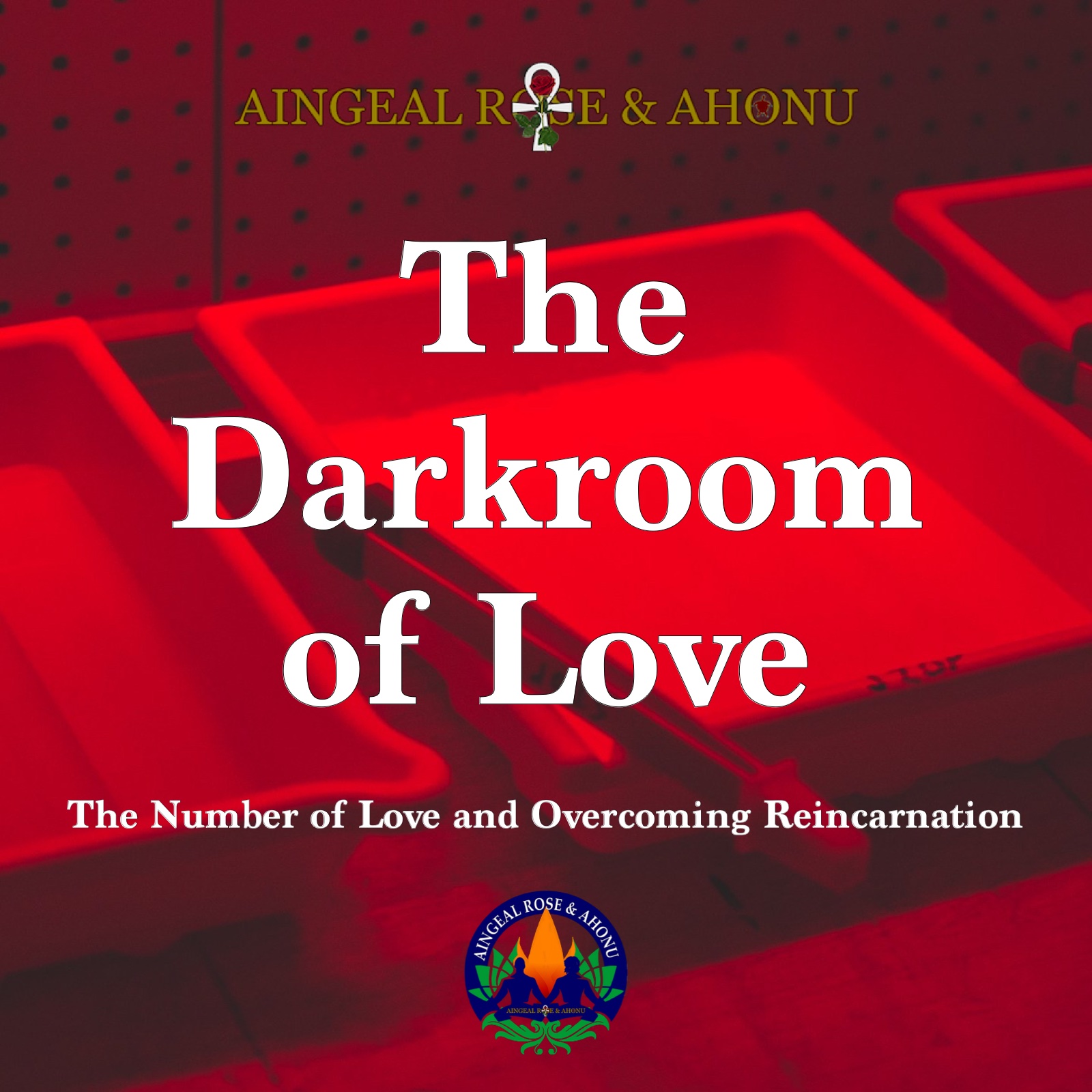348: The Darkroom Of Love