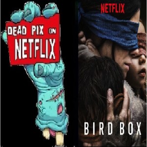 Dead pix on Netflix Ep.9- Birdbox