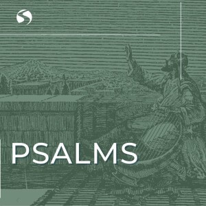 A Godly Response to Slander - Psalm 7 - February 14, 2024