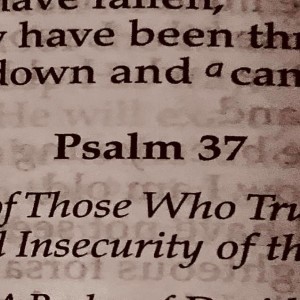 Psalm 37 NASB with music