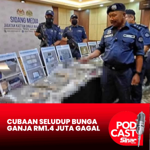 Cubaan seludup bunga ganja RM1.4 juta gagal